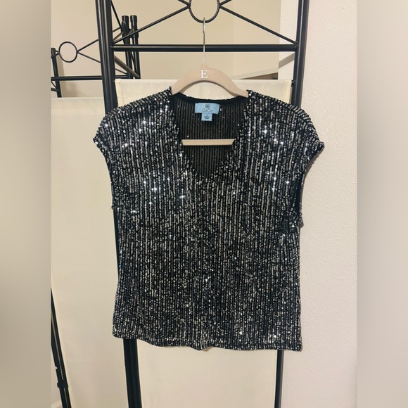 CeCe Sequin Short Sleeve Top in Sheer Black and Silver - Picture 6 of 6
